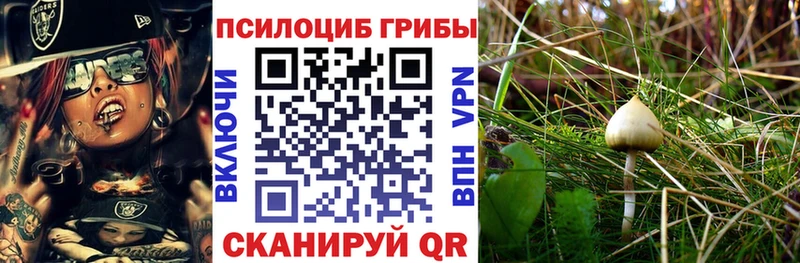 даркнет сайт  blacksprut зеркало  Галлюциногенные грибы мухоморы  Каргат 